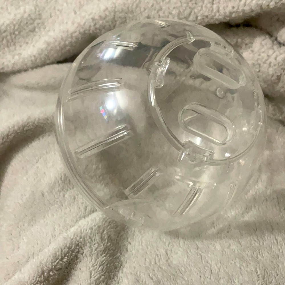 exercise ball for hamster and small pets